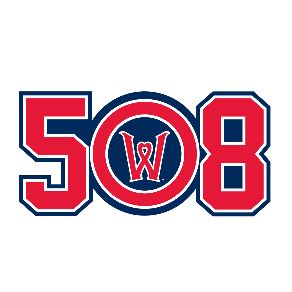 508-area-code-magnet-worcester-red-sox