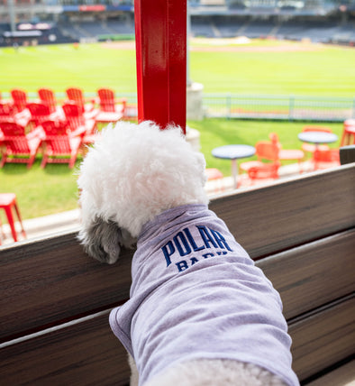 Worcester Red Sox Polar Back Dog Tee