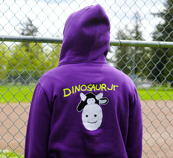 Worcester Red Sox Purple Dinosaur Jr Hoodie