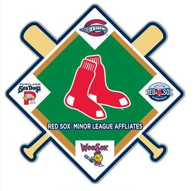 Boston Red Sox Affiliate Lapel Pin