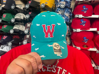 Worcester Red Sox Teal Massachusetts Confetti Cap