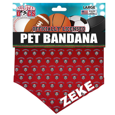 Customized Red Woofster Pet Bandana