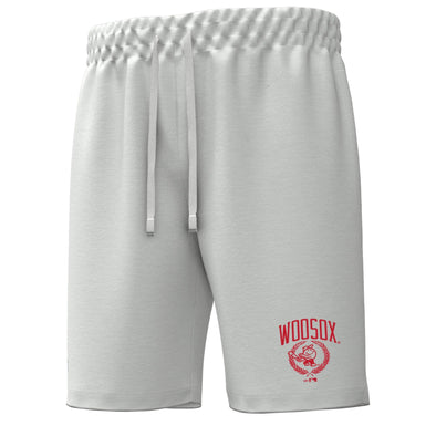Worcester Red Sox Under Armour Silver Heather Rival Fleece Shorts