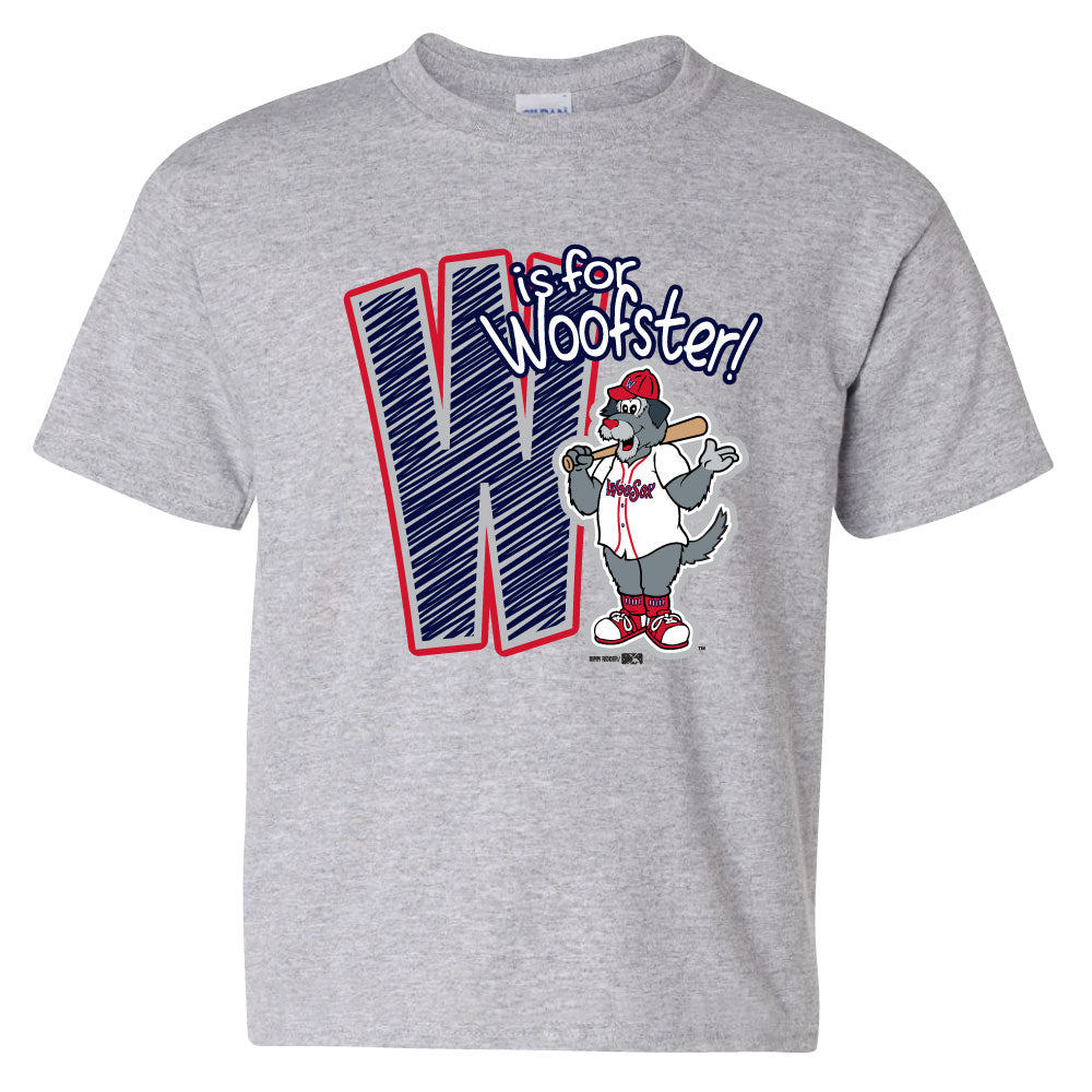 Worcester Red Sox Bimm Ridder Gray Youth Woofster Constant Tee LG