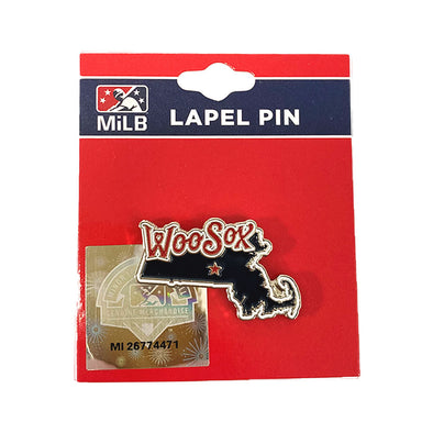 Worcester Red Sox PSG Mass State Lapel Pin