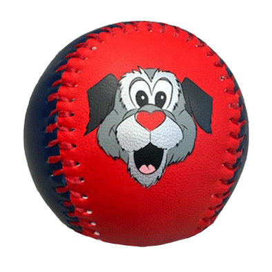 Worcester Red Sox B-MORE Red/Navy Woofster Baseball