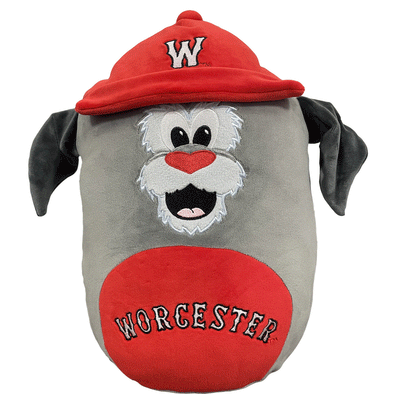 Worcester Red Sox Mascot Factory Woofster Squishy Pillow