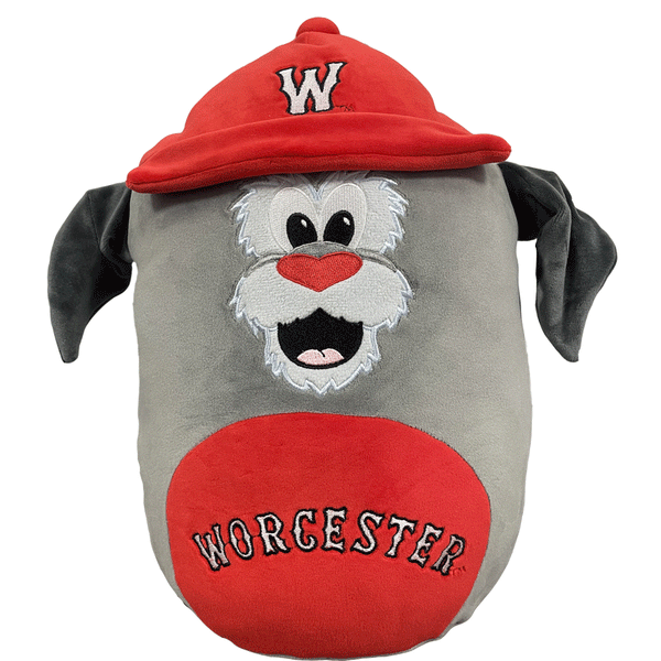 Worcester Red Sox Mascot Factory Cuddle Buddie