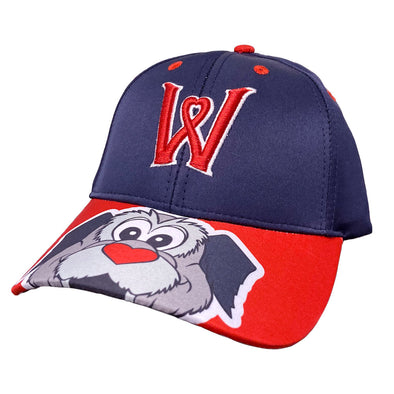 Worcester Red Sox Bimm Ridder Navy/Red Youth Woofster Gene Hat
